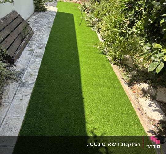 דשא סינטטי ירוק לצד שביל מרוצף בגינה